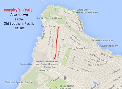 1 murphys-trail med hr