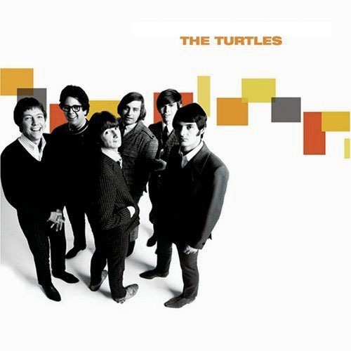 14 The Turtles