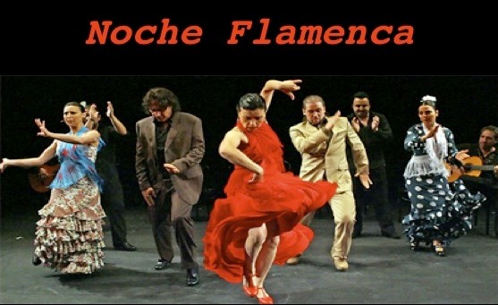 85 Noche Flamenca