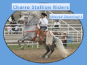 93 Charro Stallions