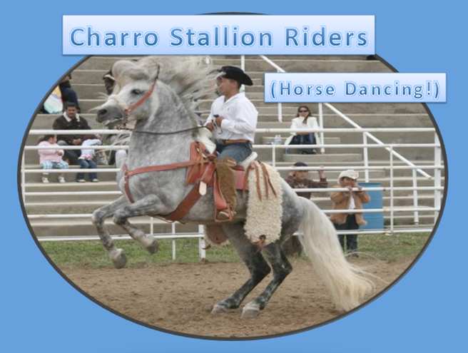 93 Charro Stallions