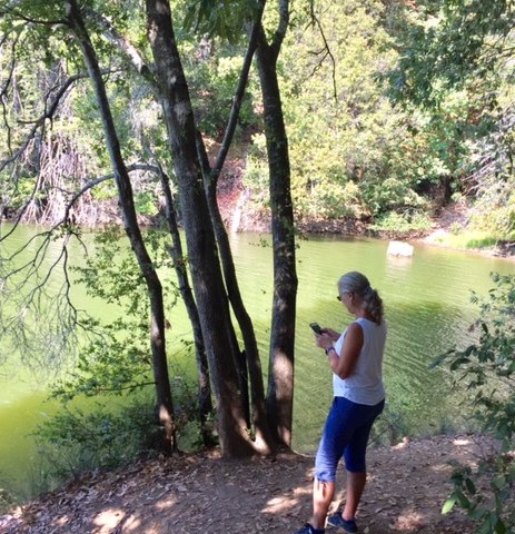 FullSizeRender_1 copy 2