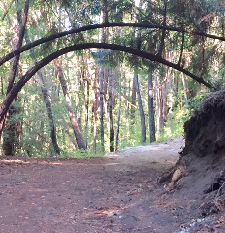 FullSizeRender_1 copy 3