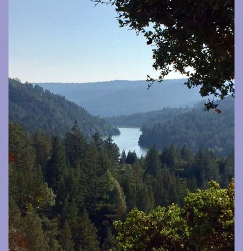 FullSizeRender_3 copy 3