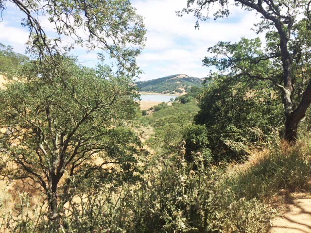 IMG_3555