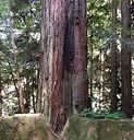 IMG_4701