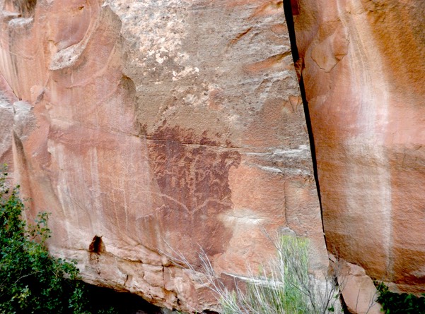 Petroglyph 5